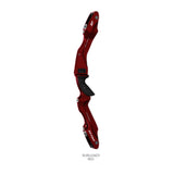 WNS APEX-GX 2 RISER