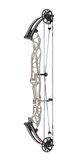 HOYT CONCEPT X 40 CDM MODULE