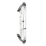 HOYT CONCEPT XTS 37 CDM MODULE